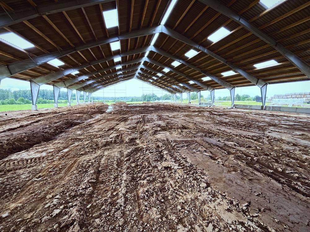 Galvijų fermos medinė gegninė stogo konstrukcija su šviesajuostėmis – UAB Agrofima